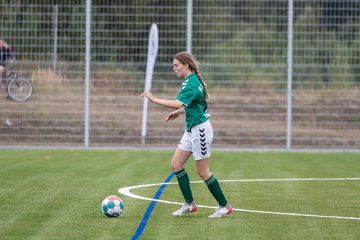Bild 213 - F Oberliga Saisonstart